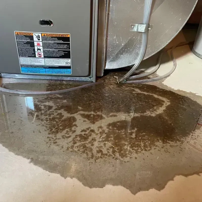 Appliance Leak Cleanup in Owenton, KY